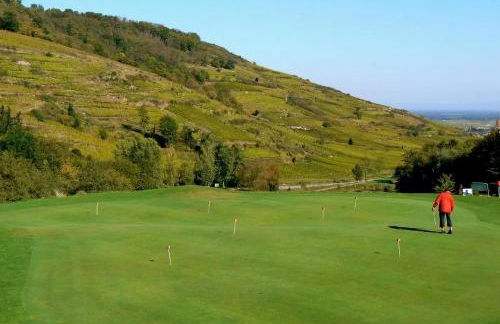 Le Petit Pèlerin - Foto 12