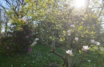 Gîte Lann Er Viline - Foto 4