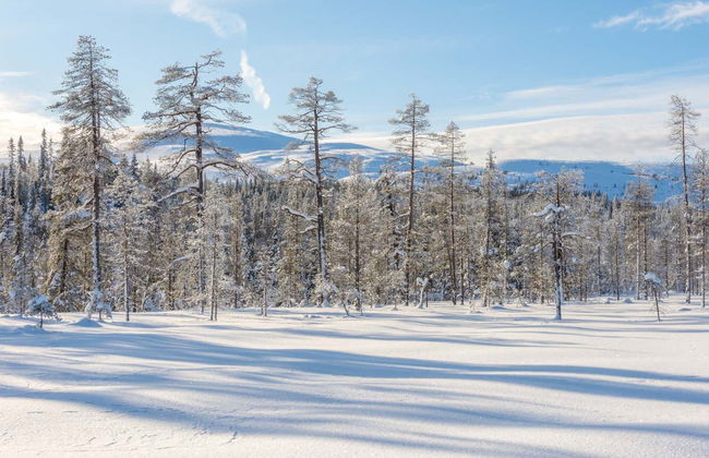 Paseo en moto de nieve bajo la aurora boreal - Foto 4