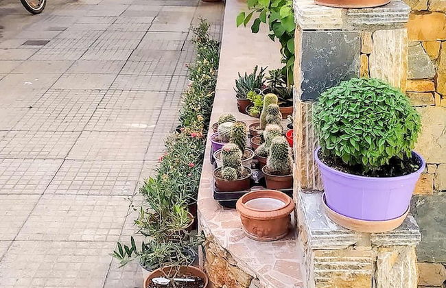 Dinas Apartment - Alonnisos Summer Haven - Foto 14