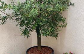 La Posada Townhouse with private parking - Foto 25