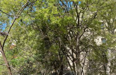 Le cocon de Clara - Photo 11