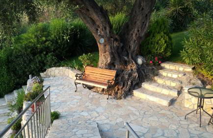 Villa Olivia - Photo 15