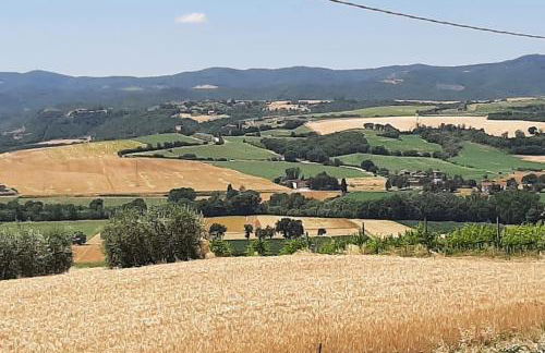 Il giglio perlato - Foto 18