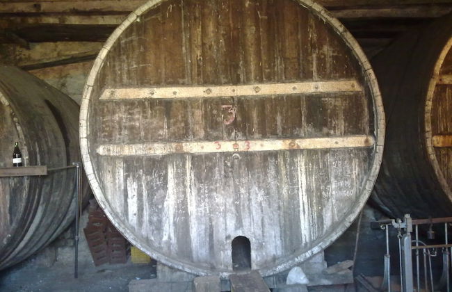 Etna Wine Agriturismo - Foto 26