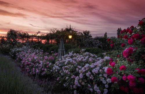 Il Fienile di Assisi - Photo 130