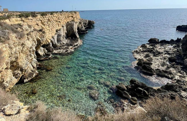 Glass-Bottom Boat Day Trip to Tabarca - Photo 4