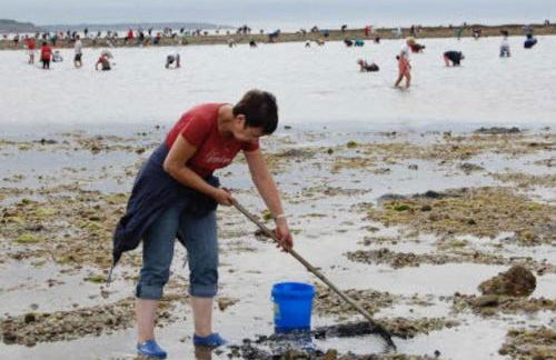 maison bord de mer individuel - Foto 28