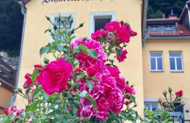 Kleines Ferienappartement 3 im Schmöllerhäuschen - Foto 15