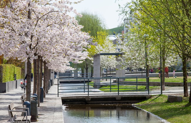 ApartDirect Hammarby Sjöstad - Photo 48