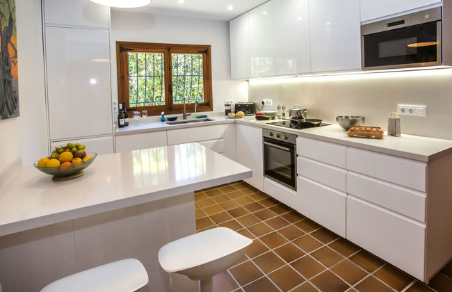 Mirlo Canta - Foto 12