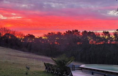 Domaine d'Empié - Foto 21