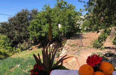 ARETI Sea View Mountain Cottage - Foto 38