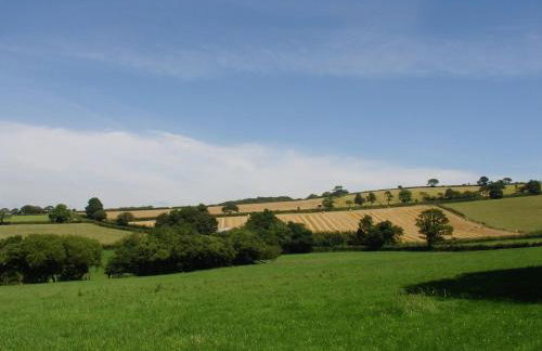 Kingbarth - Photo 17