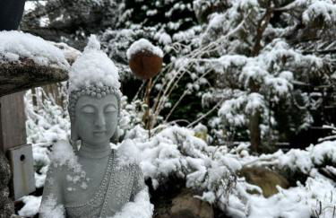 Wald Lounge - Foto 61