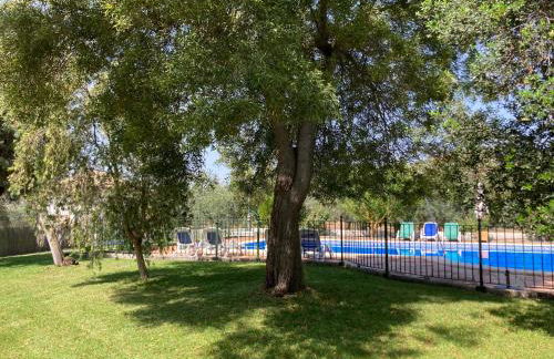 Casa de la Higuera - Foto 30