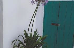 Palazzo Cosi-Forina - Foto 7