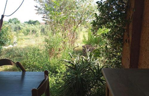 Gaia - Mare, Lago di Bolsena e Terme di Vulci - Foto 31