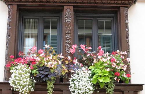 Gîte FLEUR DE VIGNES - Foto 29