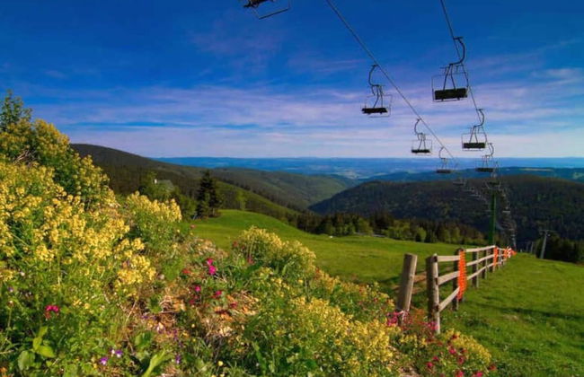 Snug Apartment in Jachymov near Ski Area - Photo 15