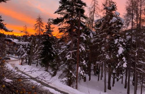 CHALET FAMILIAL AURON - Foto 6