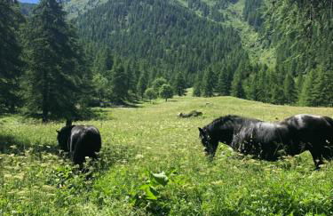 Agriturismo Ciambun - Foto 21