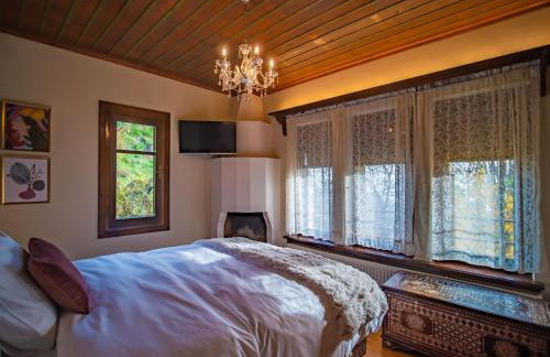 KP113 All Season Villa in Makrinitsa - Foto 21