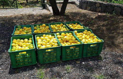 Villa Ginevra - Foto 47