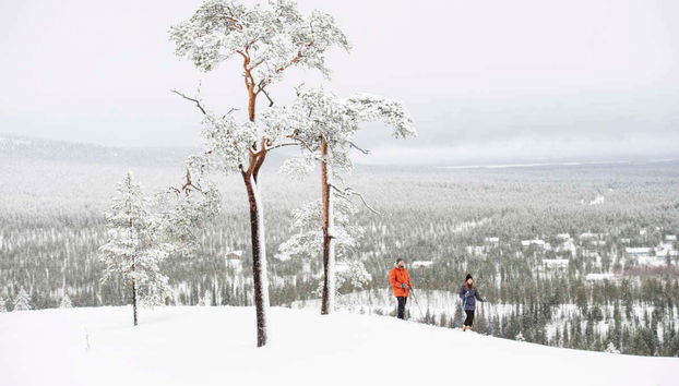 Practicando esquí de travesía en el Parque Nacional Pyhä-Luosto