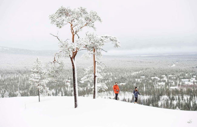Esquí de travesía en el Parque Nacional Pyhä-Luosto - Foto 3