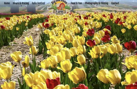 TheLilyPad - Foto 42