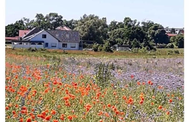 Time out Modern Retreat - Photo 24