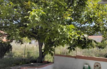 Ralloy Hoyse - Foto 23