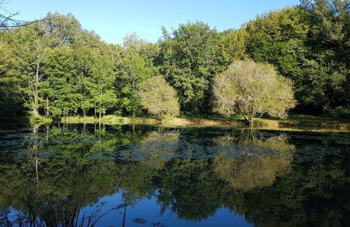Manoir Périgord Noir/Piscine chauffée/Etang&Forêt - Photo 40