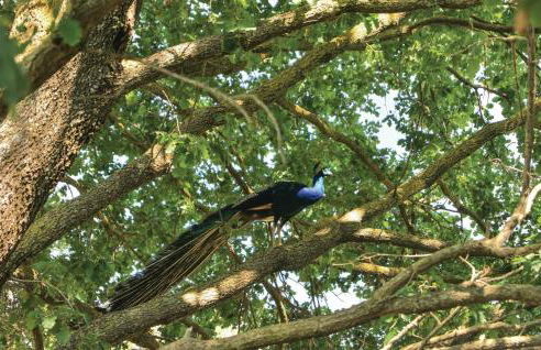 Casa Di Pietra - Foto 27