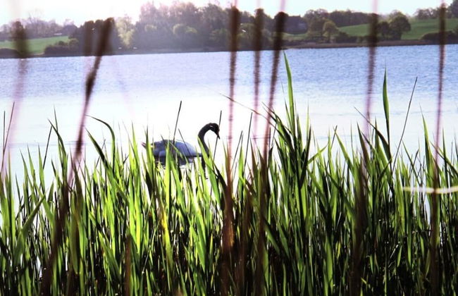 Liefde Voor de Schlei - Photo 14