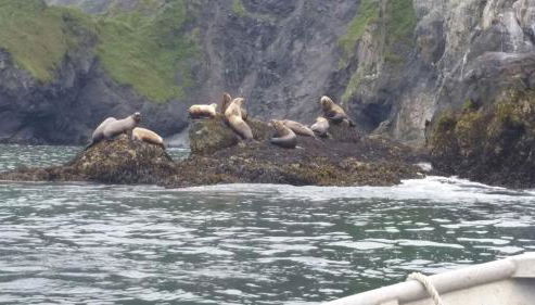 Secluded Waterfront Cottage Rental near Anchorage, Alaska - Foto 3