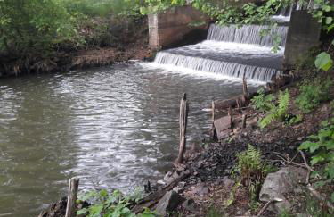 Fewo Abendsonne - Foto 45