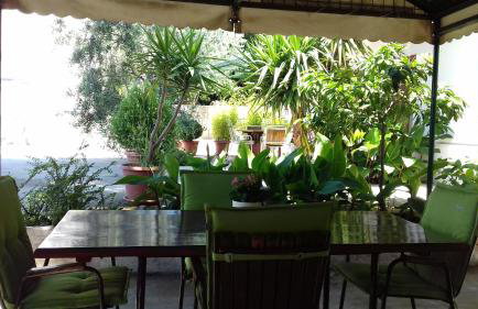 Summerhouse Duće Omiš - Foto 19