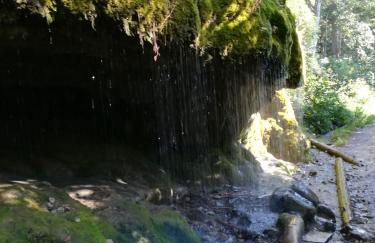 Ferienwohnung Hasenfratz - Foto 14