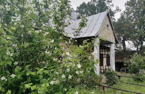 Ostoja Będzyn- Wypoczynek nad Pilicą - Foto 7