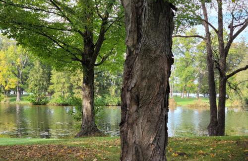 Cozy Quonset Hut On Maple Lake - Photo 12