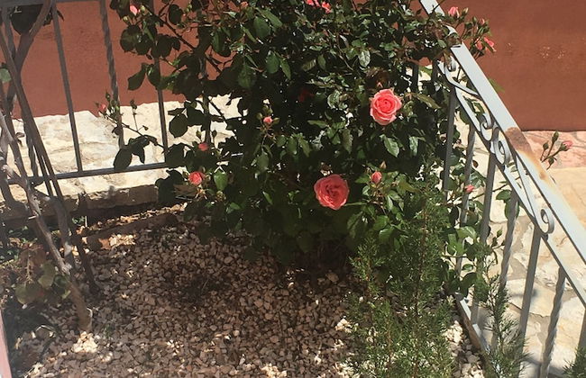 Flower House - Photo 17