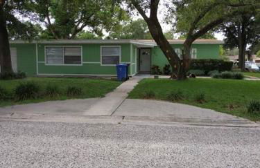 Green house - Foto 7