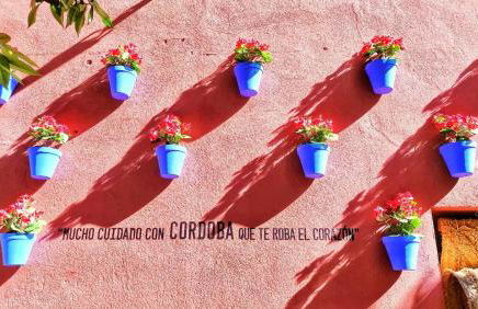 Apartamento Flor de Córdoba - Foto 22