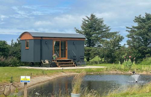 Aberdaron Shepherd Huts - Foto 8