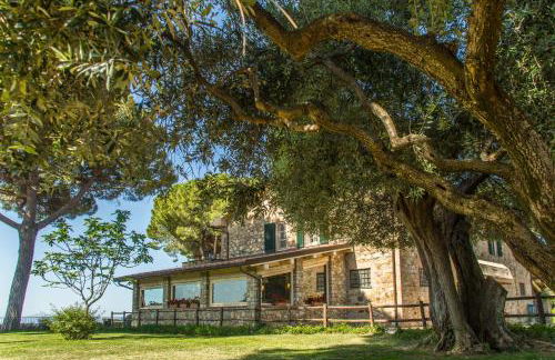 Fattoria di Magliano Winery - Foto 54