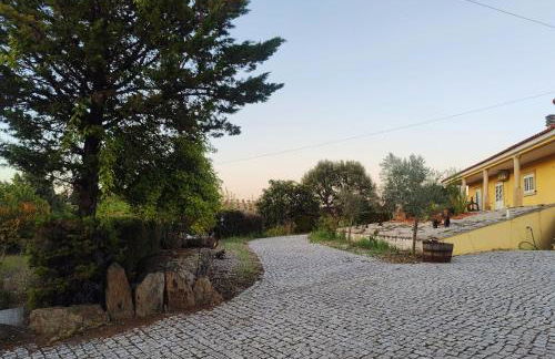 Quinta da Libelinha Alojamento Local - Mirandela - Foto 11