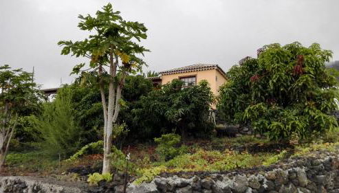 Casa Los Quemados - Foto 2, Garden