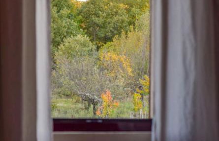 Casa Rural Tozolosolobos - Foto 39